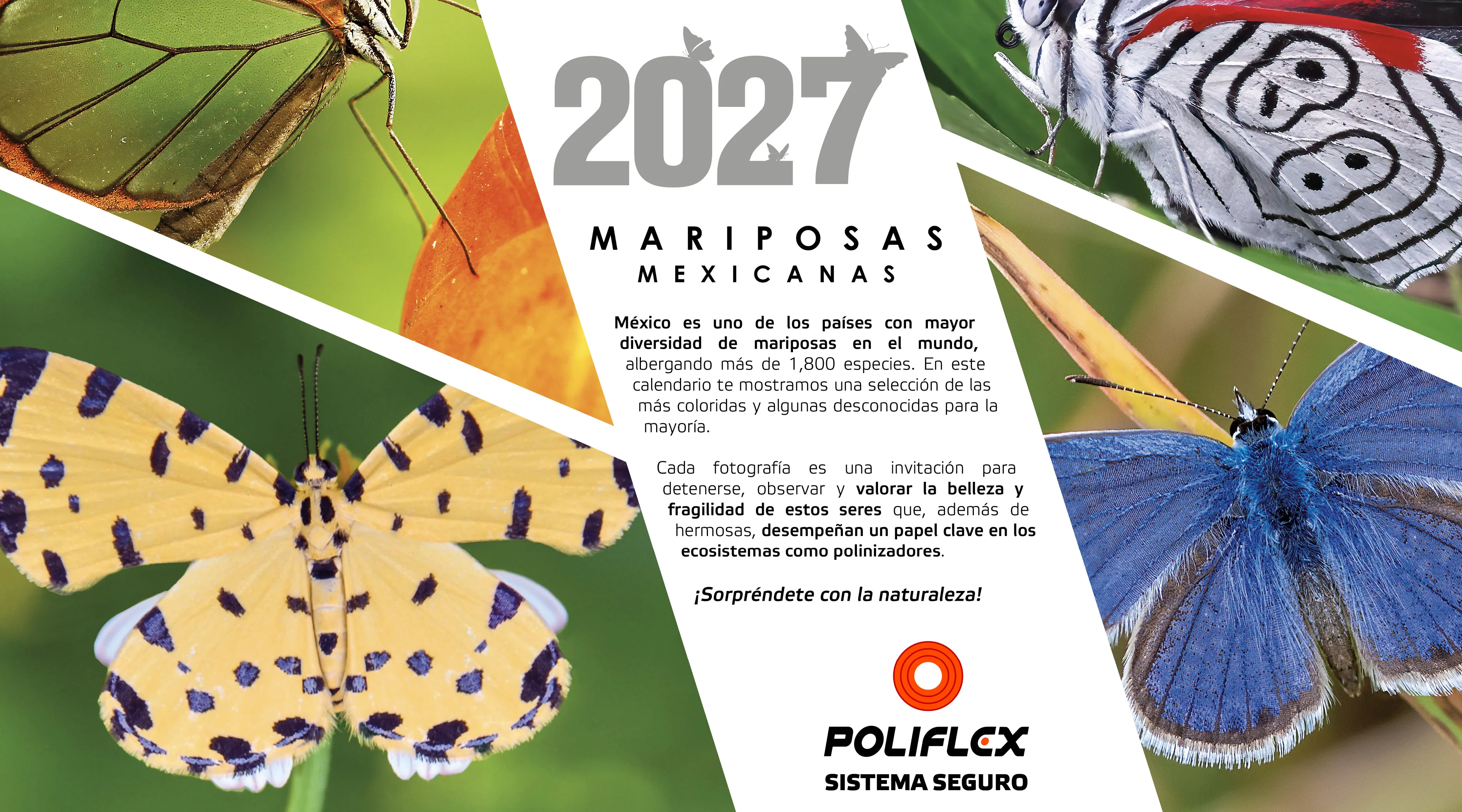 Calendario Poliflex 2027 portada