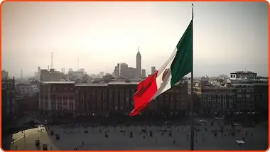 Institucional Poliflex